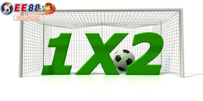 Kèo châu Âu - Hình thức cược đơn giản, thắng lớn