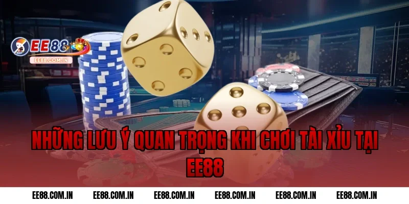 Những lưu ý quan trọng khi chơi tài xỉu tại ee88